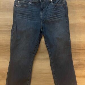 Torrid Blue Skinny Jeans Classic Denim Style